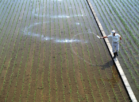 水田除草剤の適正使用 公益財団法人 日本植物調節剤研究協会